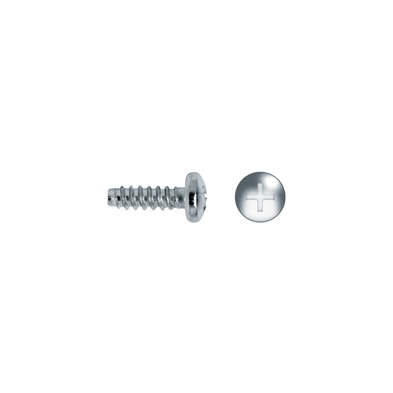 Tornillo DIN 7981F rosca chapa sin punta cabeza alomada impronta PH Ø2,9x13 cincado
