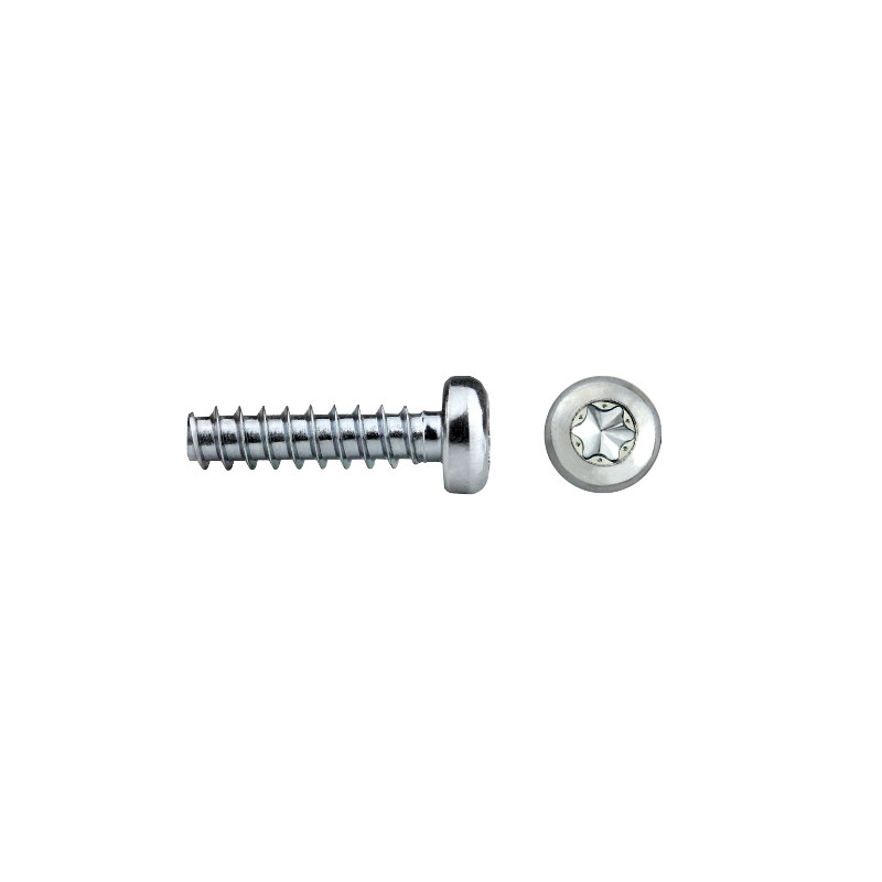 REMFORM® Cabeza alomada Impronta TORX® Ref. RF81T 3x12 cincado CRIII