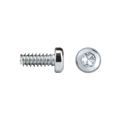 REMFORM®F Cabeza alomada Impronta TORX® Ref. FF81T 3,5x10 cincado CRIII