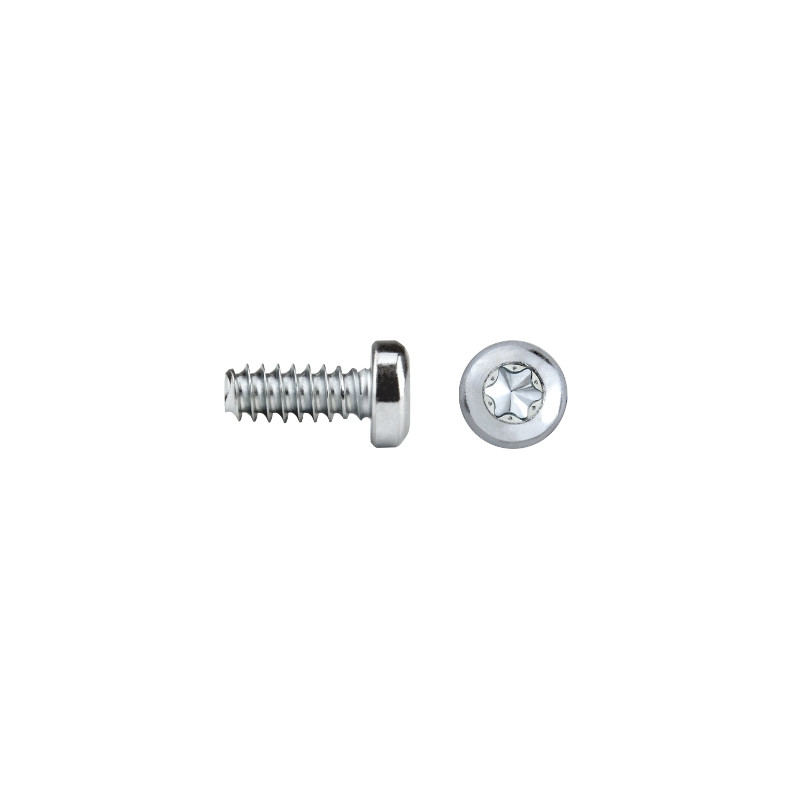 REMFORM®F Cabeza alomada Impronta TORX® Ref. FF81T 3,5x10 cincado CRIII