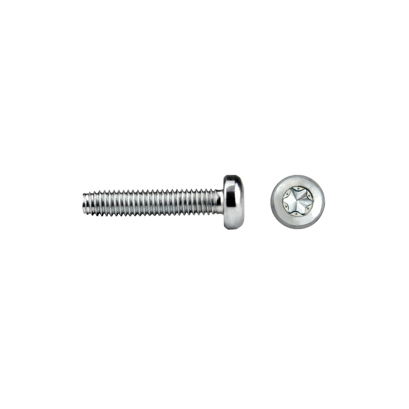 TAPTITE 2000® Cabeza alomada Impronta TORX® Ref. NT85T 4x8 tratamiento CORFLEX®'N'