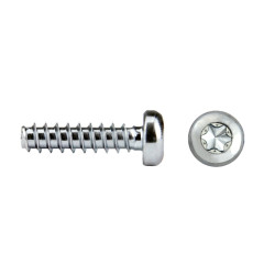 REMFORM® II™ “HS”’Cabeza alomada TORX®plus 5x12 cincado CRIII