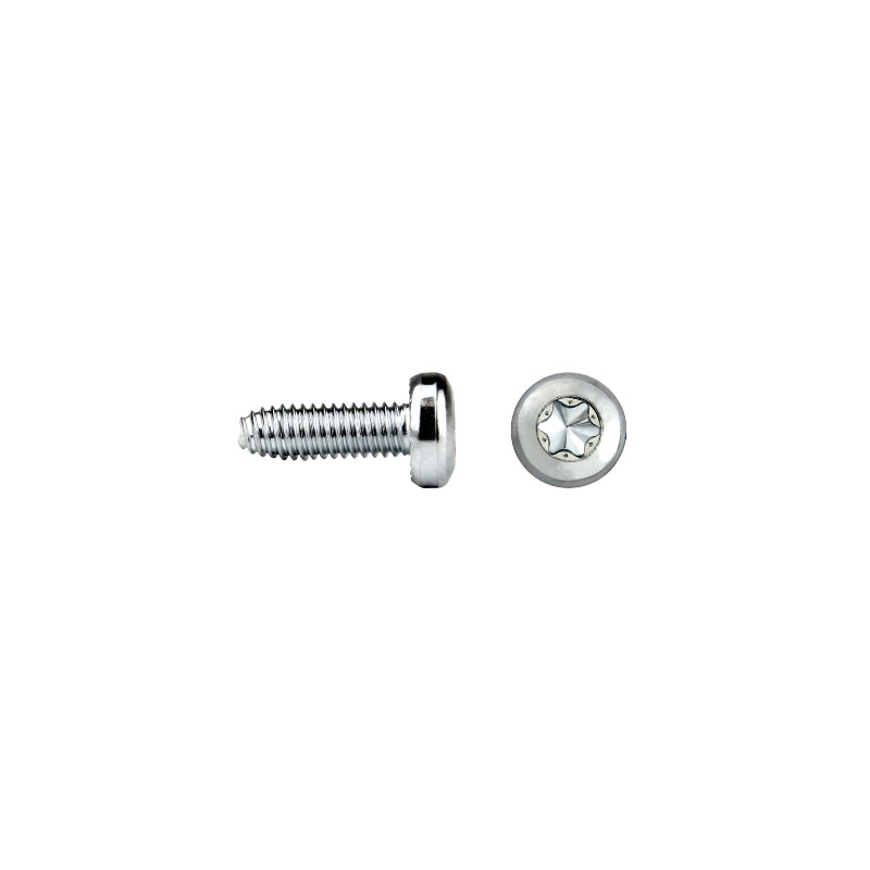 FASTITE®2000™ Cabeza alomada Impronta TORX® Ref. FT85T 5X9 cincado CRIII