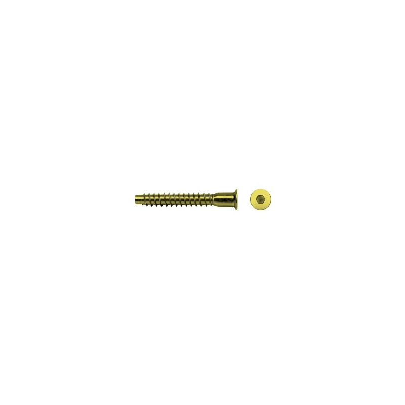 Tornillo ensamblaje ENE rosca madera cabeza allen Ø7x50 mm bicromatado