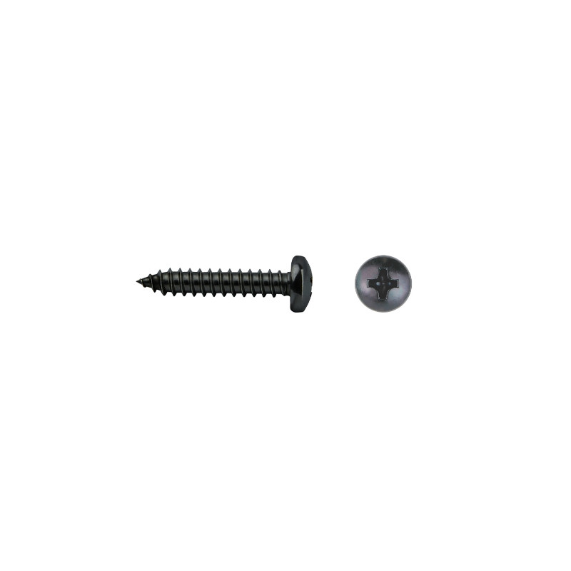 Tornillo DIN 7981 rosca chapa cabeza alomada impronta PH Ø4,2x38 mm cincado negro