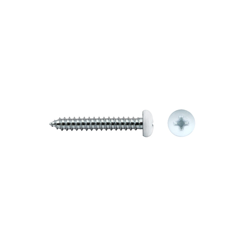 Tornillo DIN 7981 rosca chapa cabeza alomada impronta PH Ø4,2x38 lacado blanco