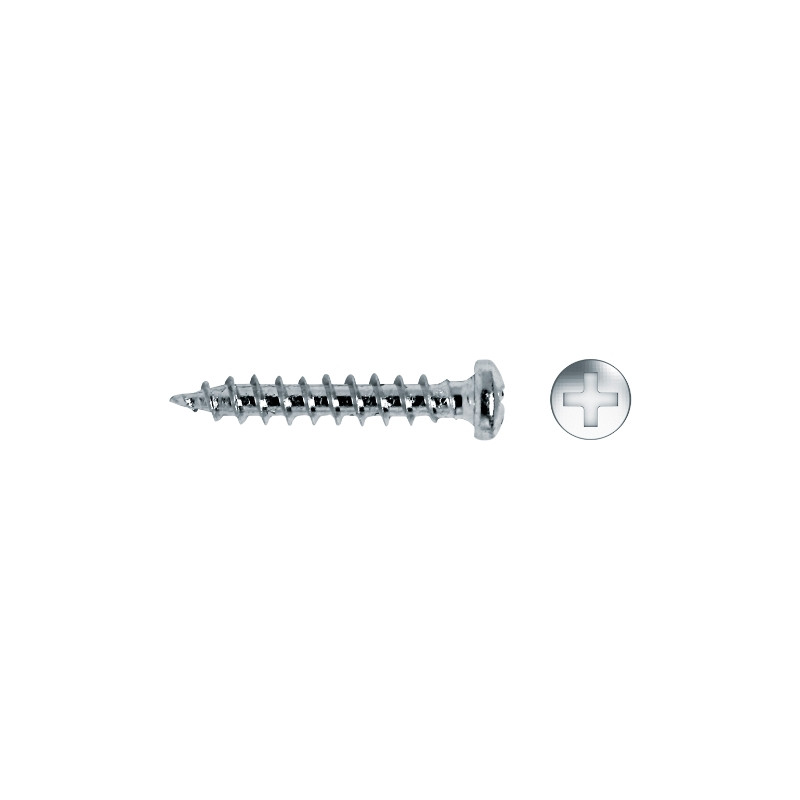 Tornillo FCE rosca chapa cabeza reducida impronta PH Ø4,5x55 cincado
