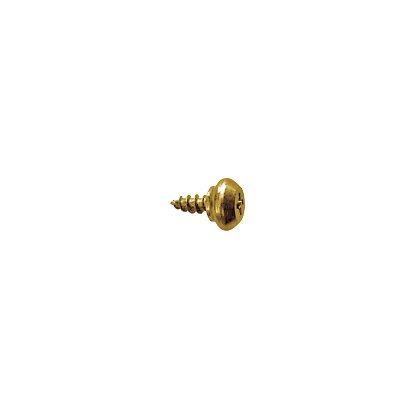 Tornillo vierteaguas RH rosca plástico cabeza alomada impronta PH Ø5,5x12 mm cincado