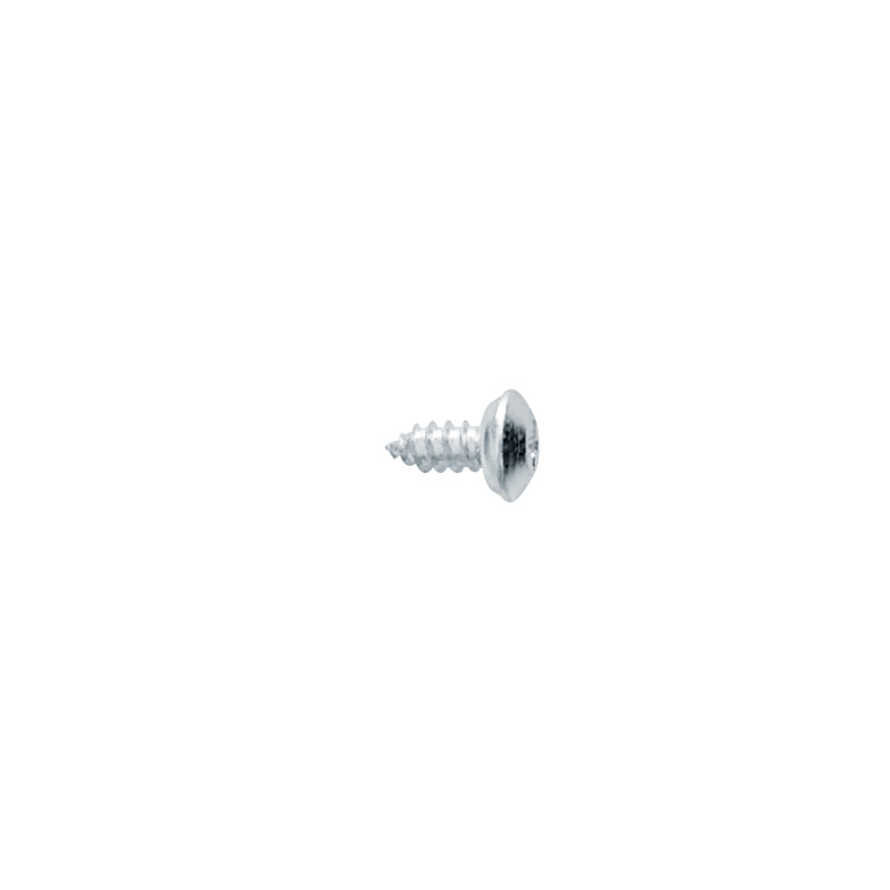 Tornillo vierteaguas TY rosca plástico cabeza alomada impronta PH Ø5,5x12 mm cincado