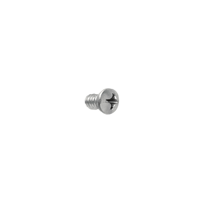 Tornillo CH junquillo impronta PH cincado