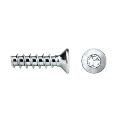 REMFORM® Cabeza avellanada Impronta TORX® Ref. RF82T 3x12 cincado CRIII 