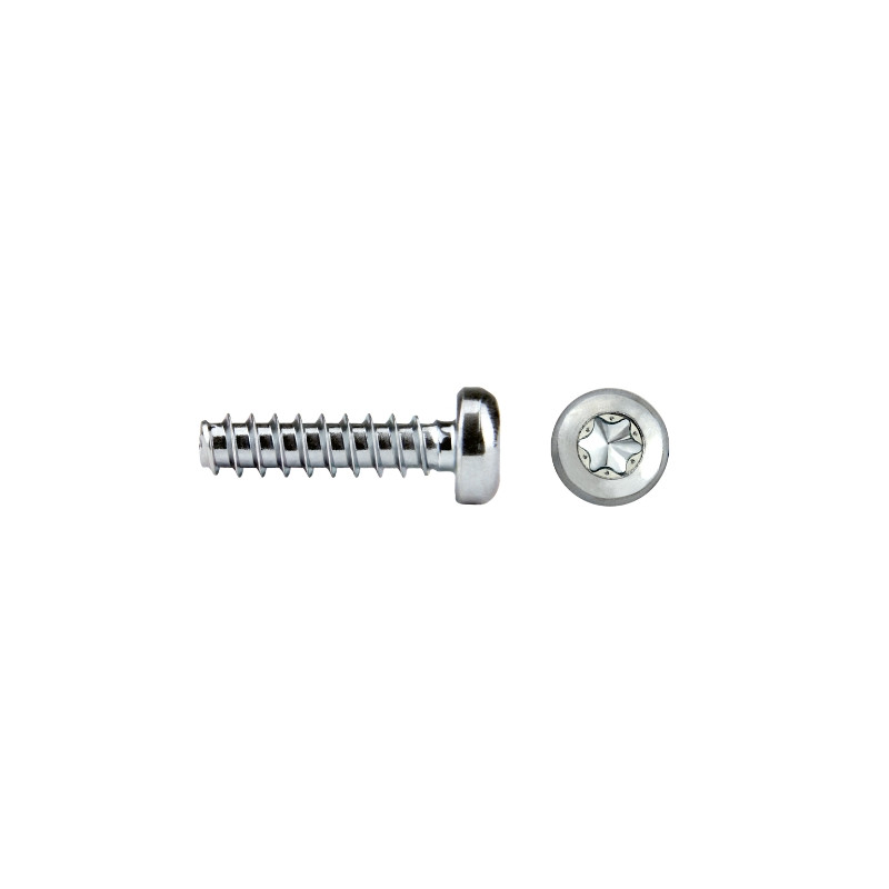 REMFORM® II™ “HS”’Cabeza alomada TORX®plus 4x12 cincado CRIII 