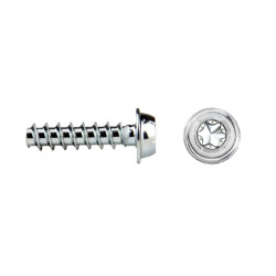 REMFORM® Cabeza arandela estampada Impronta TORX® Ref. RF87T 6x20 cincado CRIII 