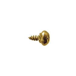 Tornillo vierteaguas RH rosca plástico cabeza alomada impronta PH Ø5,5x12 mm cincado