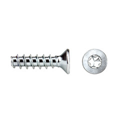 REMFORM® Cabeza avellanada Impronta TORX® Ref. RF82T 3x12 cincado CRIII 