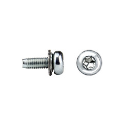 TAPTITE II® Cabeza alomada Impronta TORX® SEM Washer Ref. TT22T 3x8 cincado CRIII 