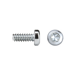 REMFORM®F Cabeza alomada Impronta TORX® Ref. FF81T 5x20 cincado CRIII 