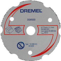 S500 para DSM 20