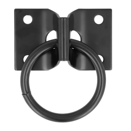 AMIG 24856  Placa con anilla móvil 507  70 x 45 mm  Acero  Negro